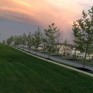 Meet your Posher, Farhana